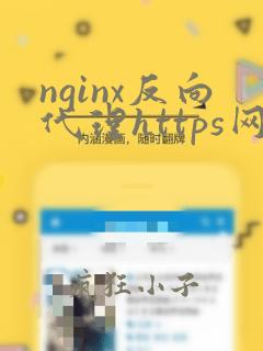 nginx反向代理https网站