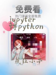 jupyter转python