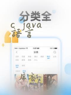 c  java语言