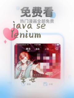 java selenium