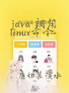 java 调用linux命令