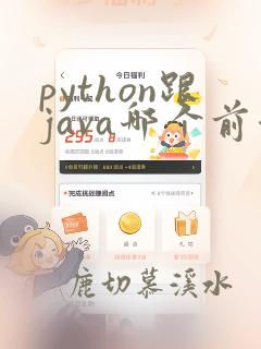 python跟java哪个前景好