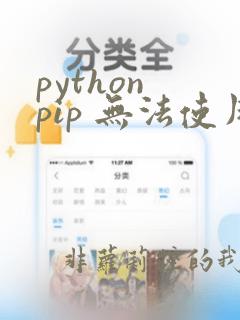 python pip 无法使用
