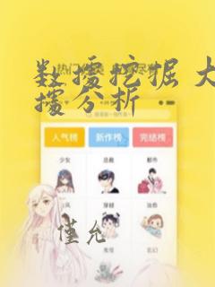 数据挖掘 大数据分析