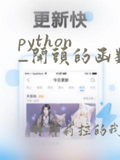 python _开头的函数