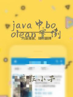 java中boolean实例