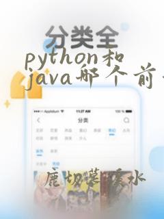 python和java哪个前景好