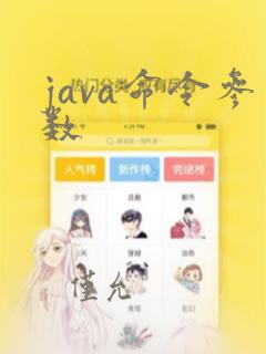 java命令参数