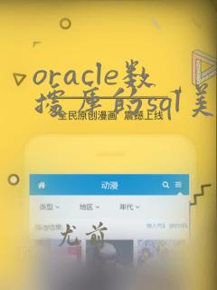 oracle数据库的sql美化