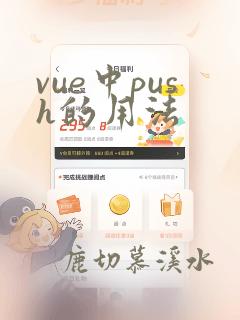 vue中push的用法