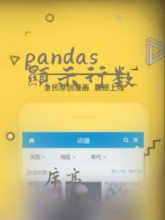 pandas 显示行数