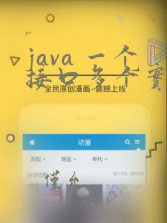java 一个接口多个实现