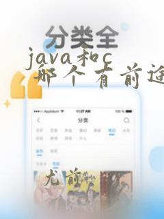 java和c  哪个有前途