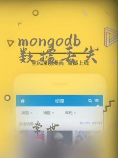 mongodb数据丢失