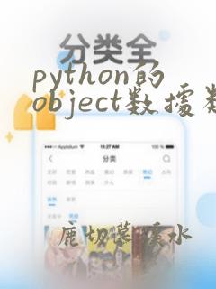 python的object数据类型