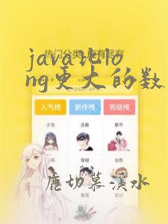 java比long更大的数据类型