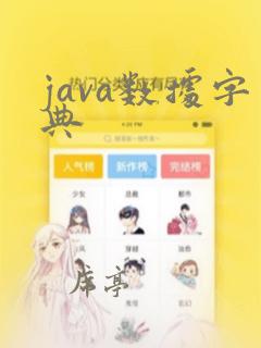 java数据字典