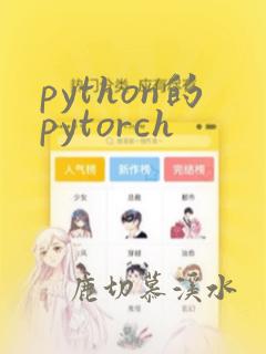python的pytorch