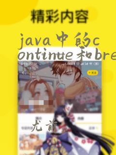 java中的continue和break