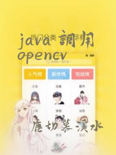 java 调用opencv