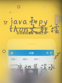 java和python大数据
