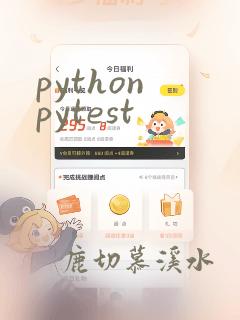 python pytest