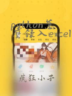 python怎么录入excel