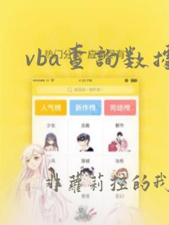 vba查询数据