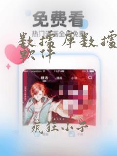 数据库数据分析软件