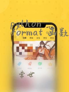 python format 函数