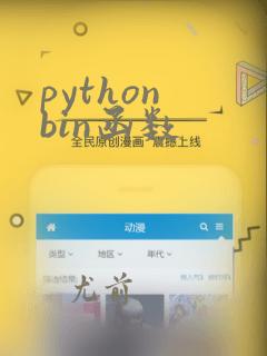 python bin函数