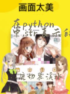 在python中,str表示的数据类型是