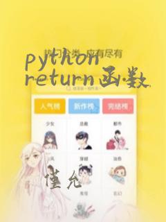 python return函数