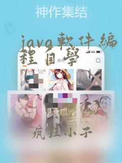java软件编程自学