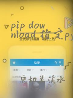 pip download 指定python版本