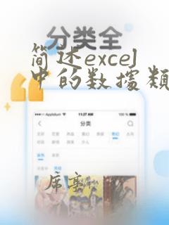 简述excel中的数据类型