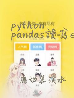 python pandas读写excel