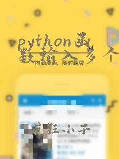 python函数输入多个参数
