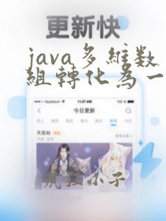java多维数组转化为一维数组
