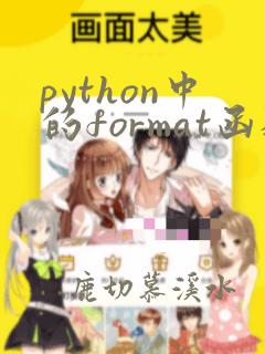 python中的format函数的作用
