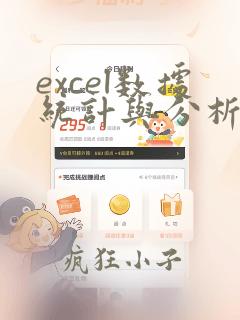 excel数据统计与分析
