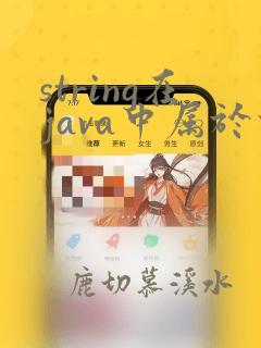 string在java中属于什么数据类型