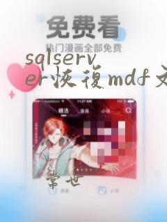sqlserver恢复mdf文件