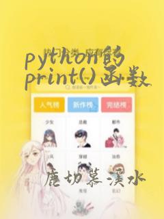 python的print()函数
