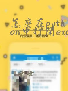 怎么在python中打开excel