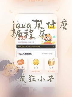 java用什么编程序