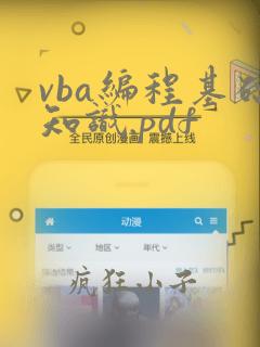 vba编程基础知识.pdf