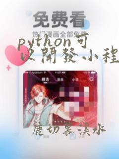 python可以开发小程序