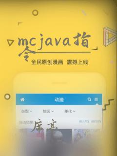 mcjava指令