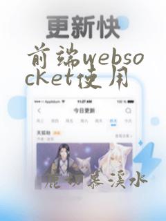 前端websocket使用